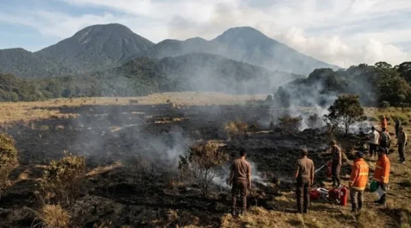 Kebakaran Gunung Gede Pangrango Masuk Hari Keempat, 10 Hektare Terbakar
